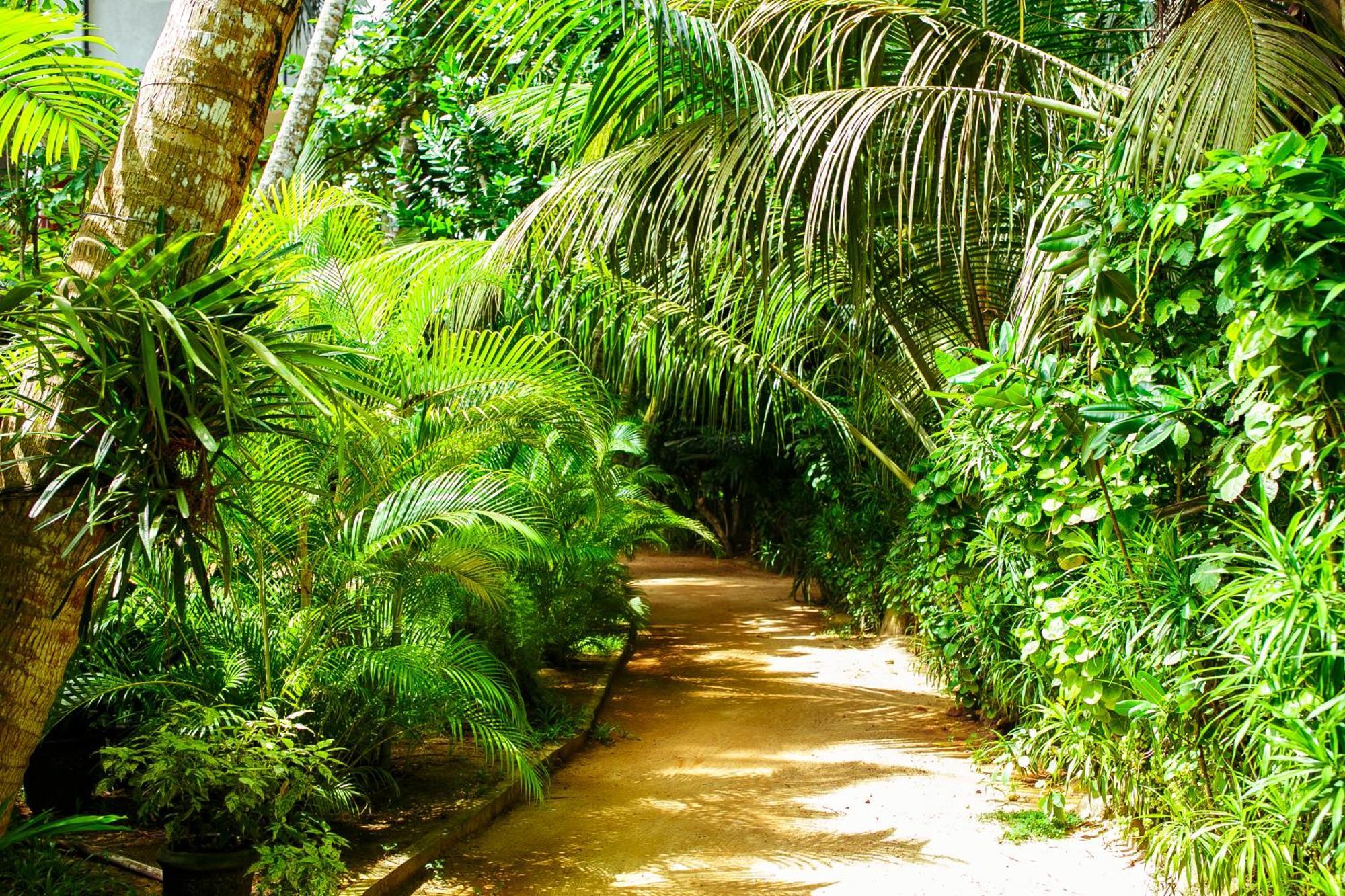 Flora And Fauna Mirissa Exterior foto