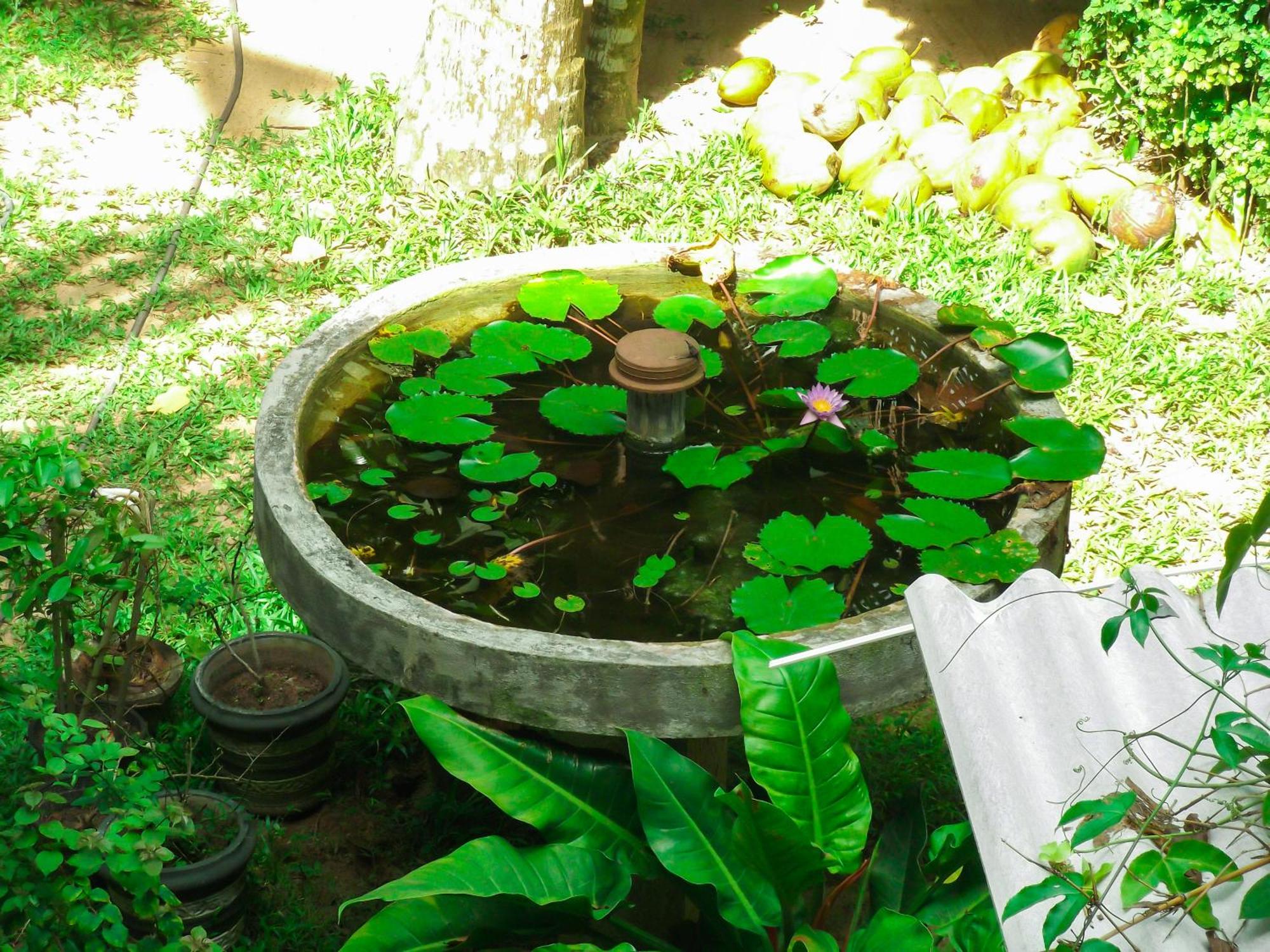 Flora And Fauna Mirissa Exterior foto