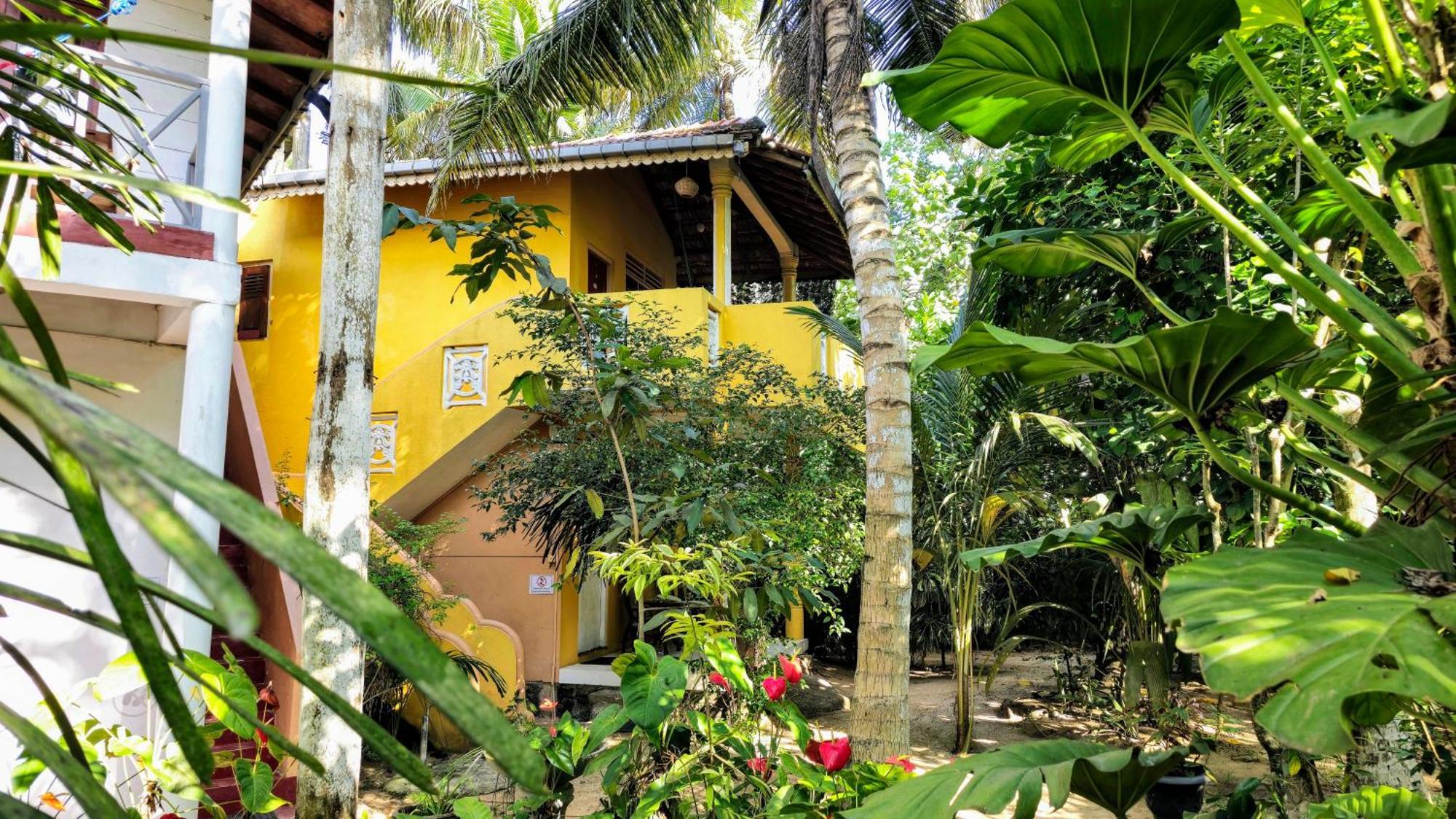 Flora And Fauna Mirissa Habitación foto